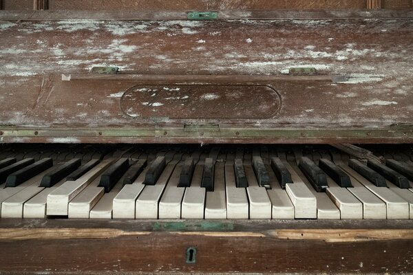 Tapeta piano Brown antique