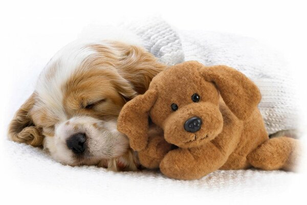 Jouets mignons de chiot en peluche