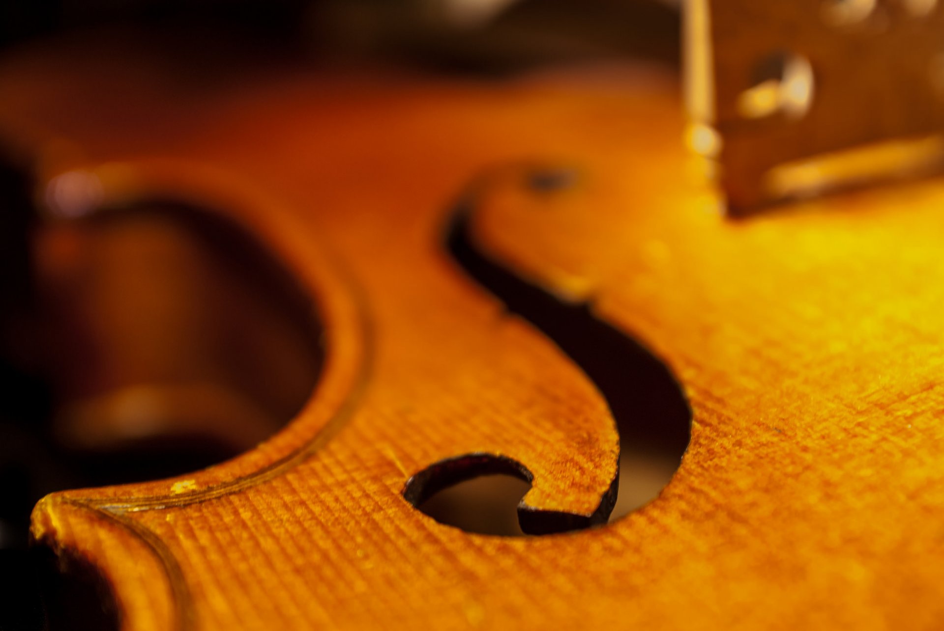 violin cello soundboard close up