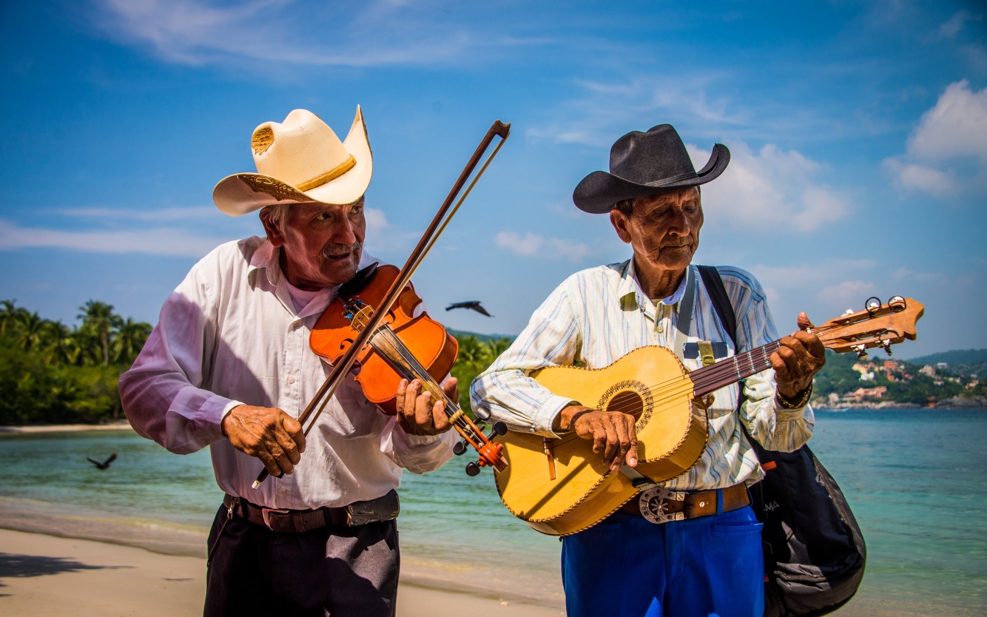 músicos música verano