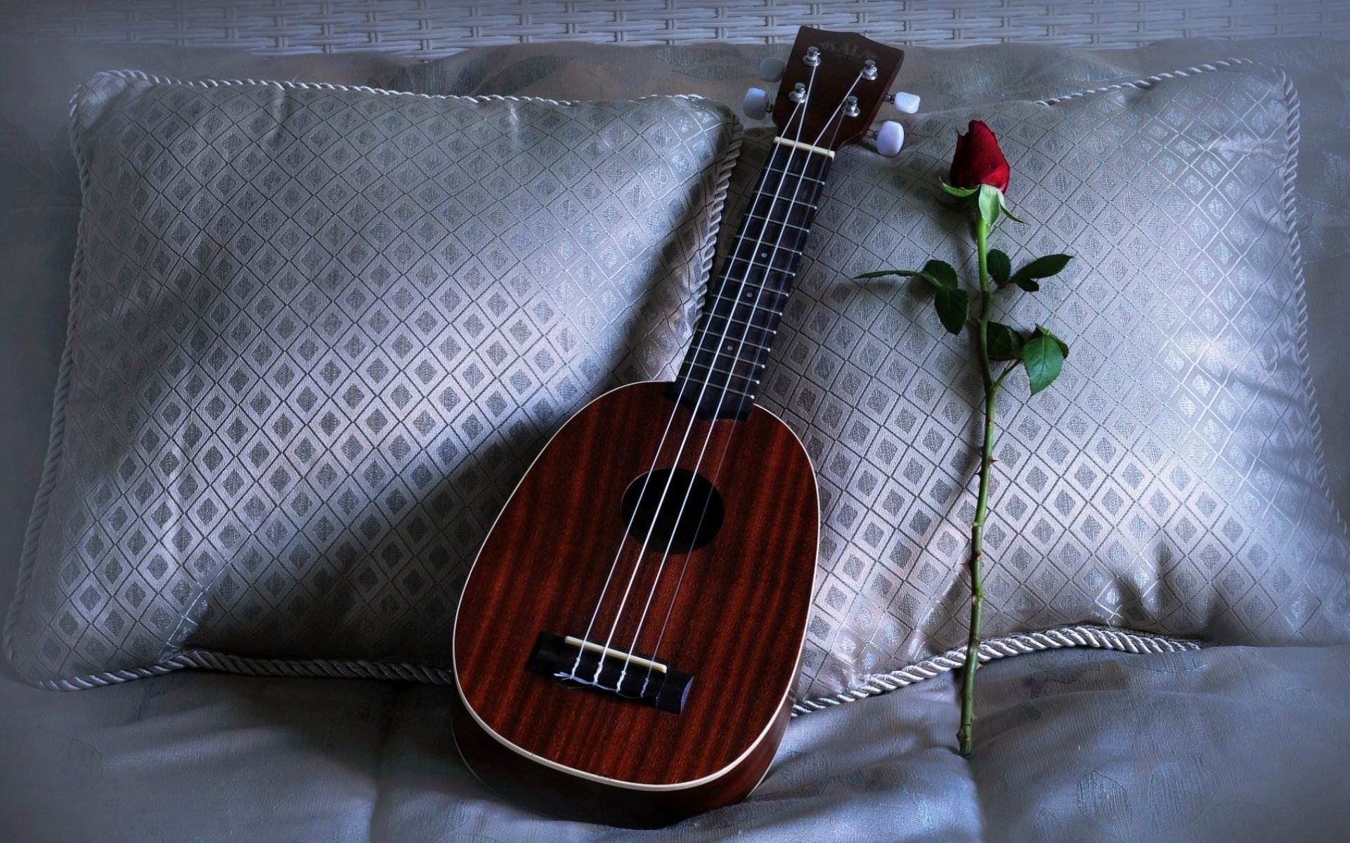 ukelele crecido cojín canción de amor