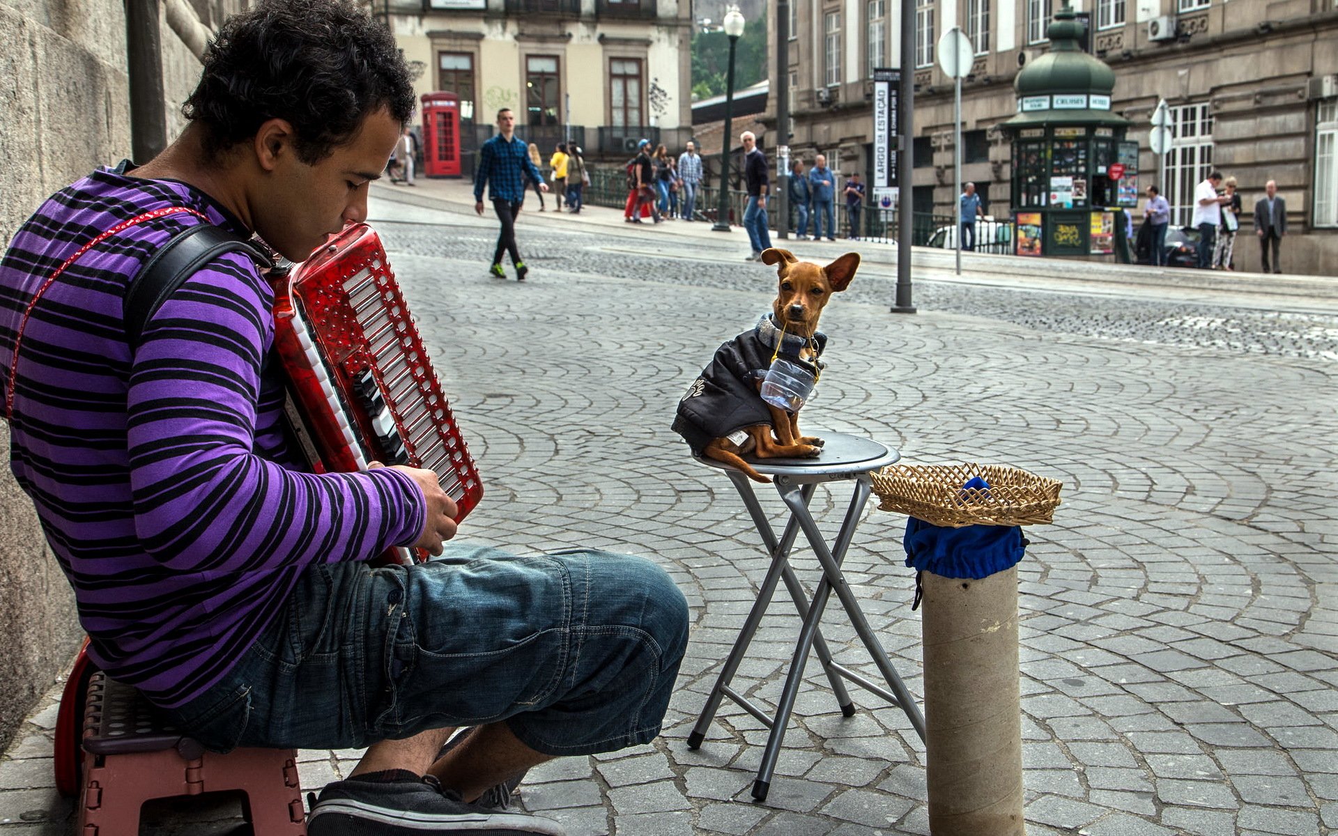 man dog street music