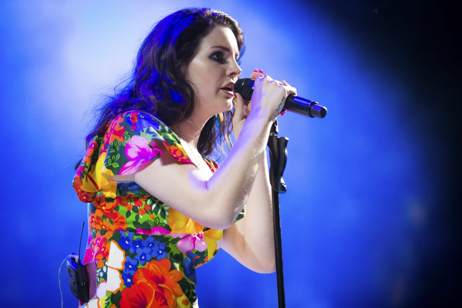 lana del rey coachella micro chanteuse