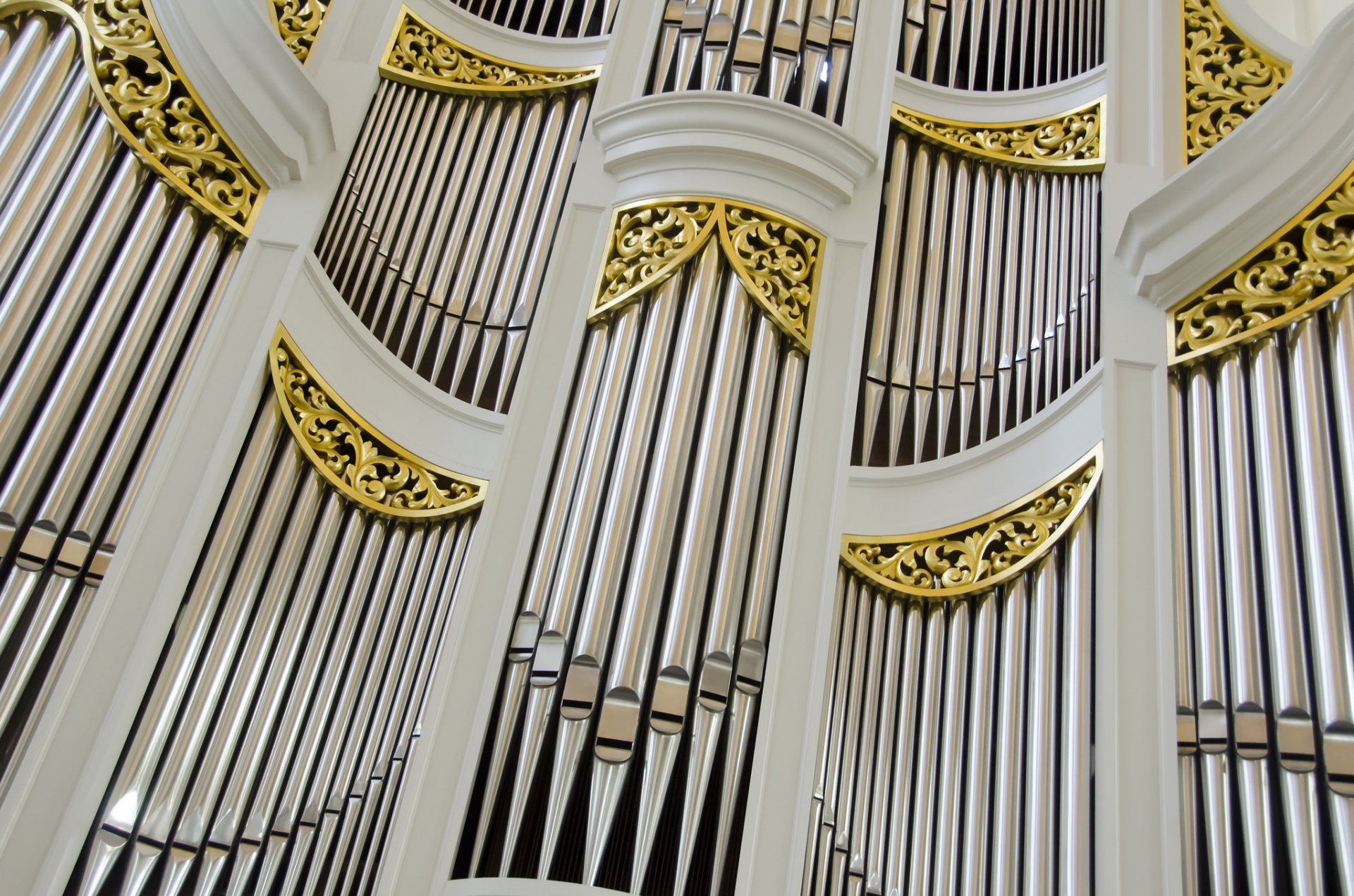 órgano instrumento tubos catedral salón