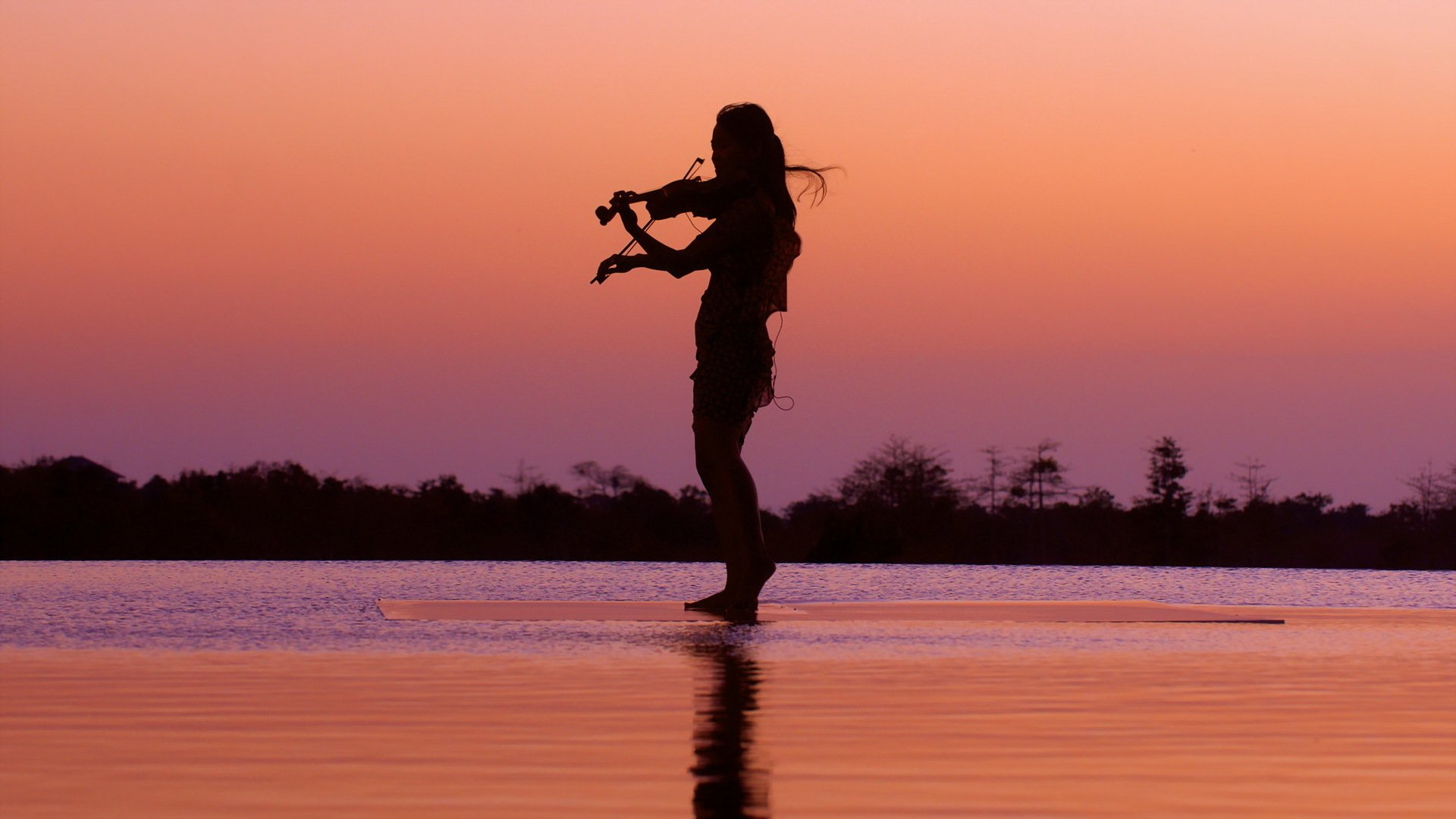 noct ragazza violino