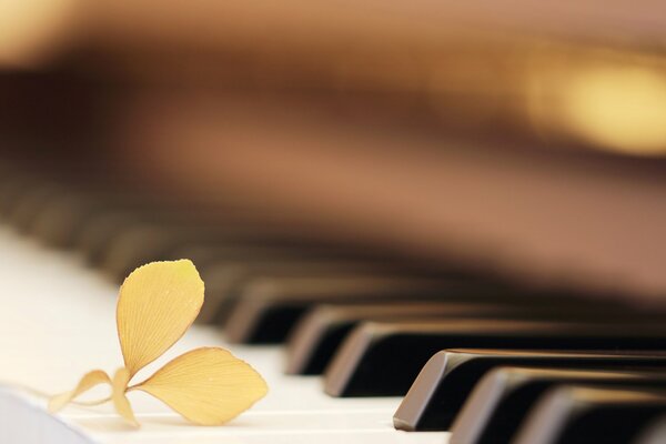 Auf dem Klavier liegt ein gelbes Blatt
