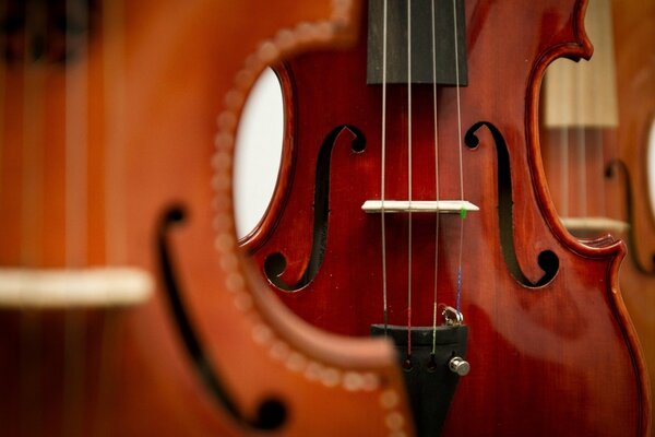 Музыкальные скрипки на фоне скрипок