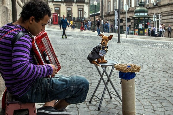 Straßenmusiker mit Hund spielt Akkordeon