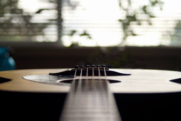 Guitar strings on the background of the window