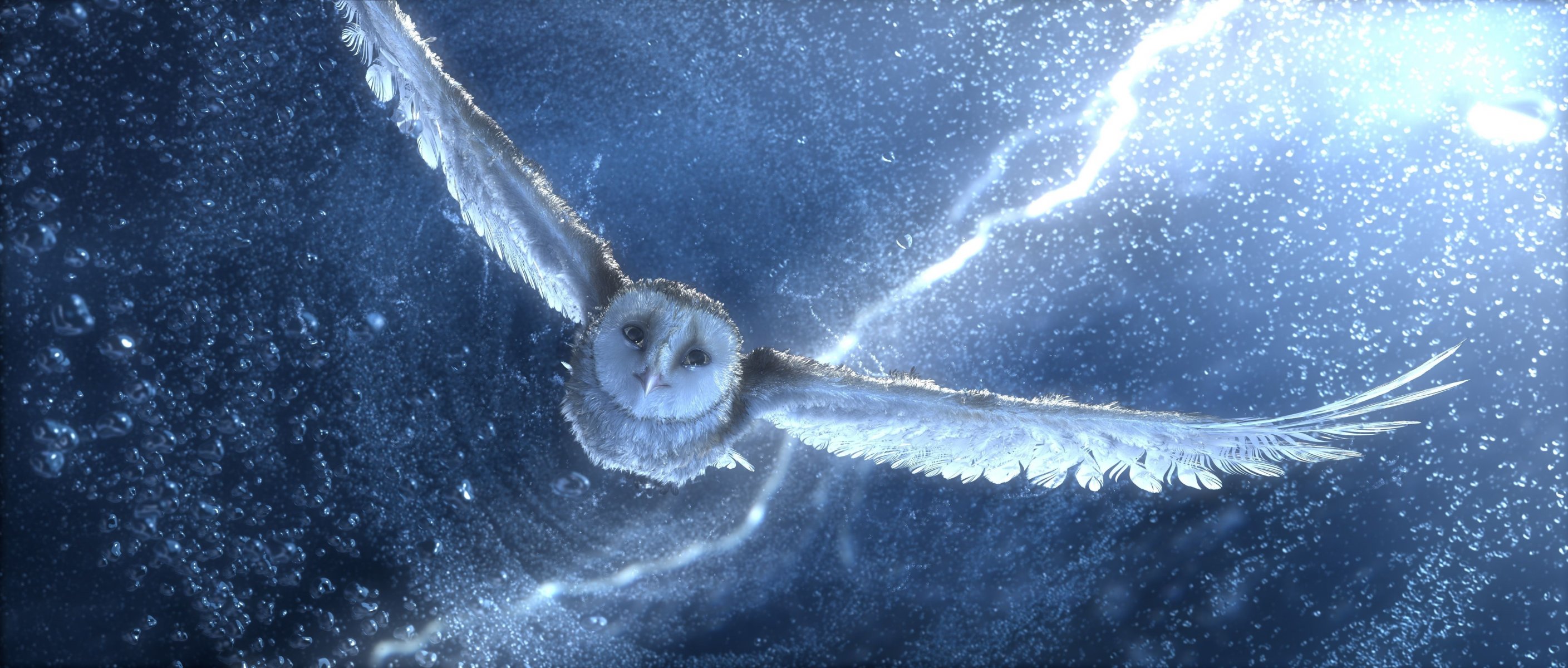 owl flight the storm legend of the guardians: the owls of ga hoole