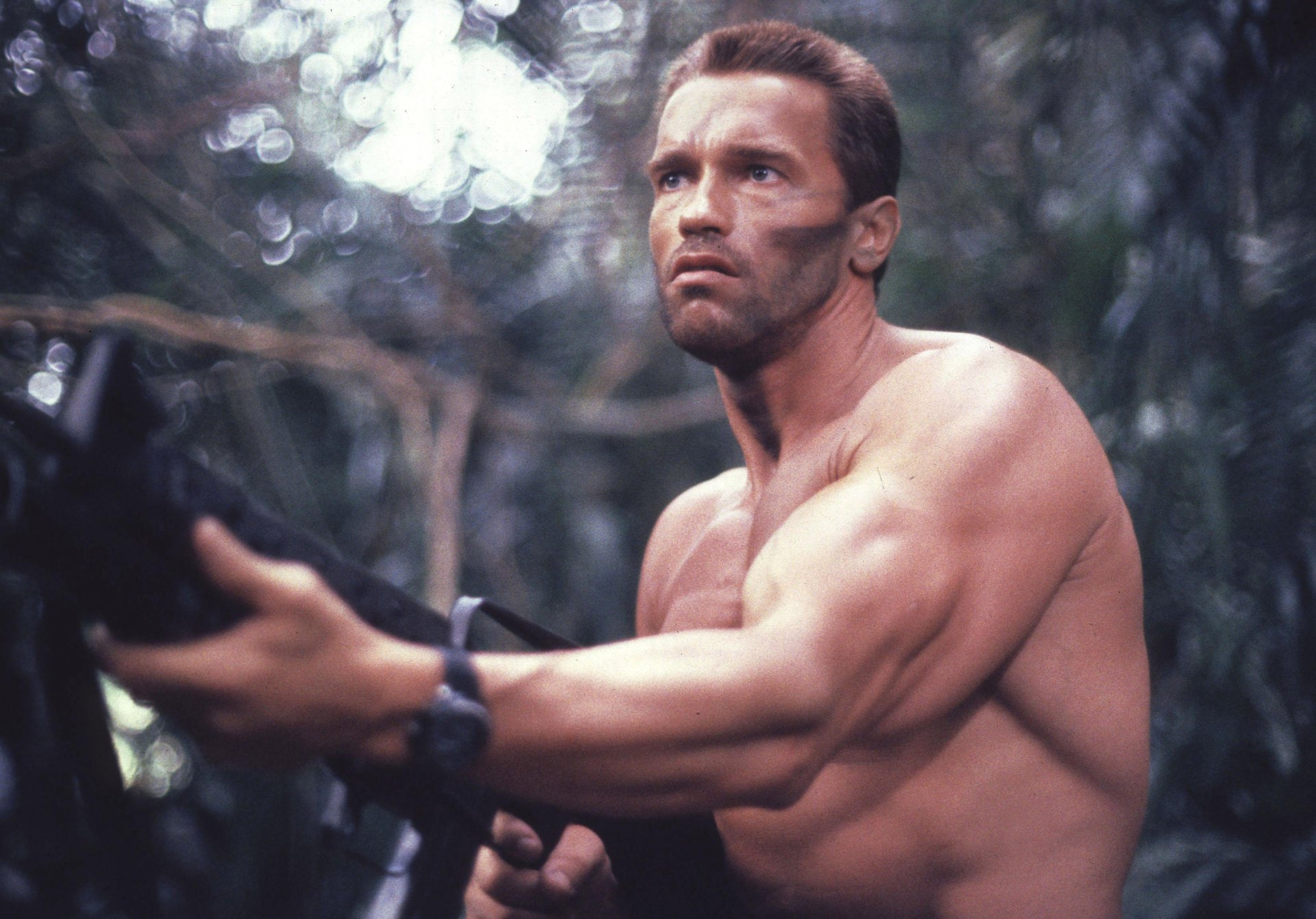 predator arnold schwarzenegger mężczyzna