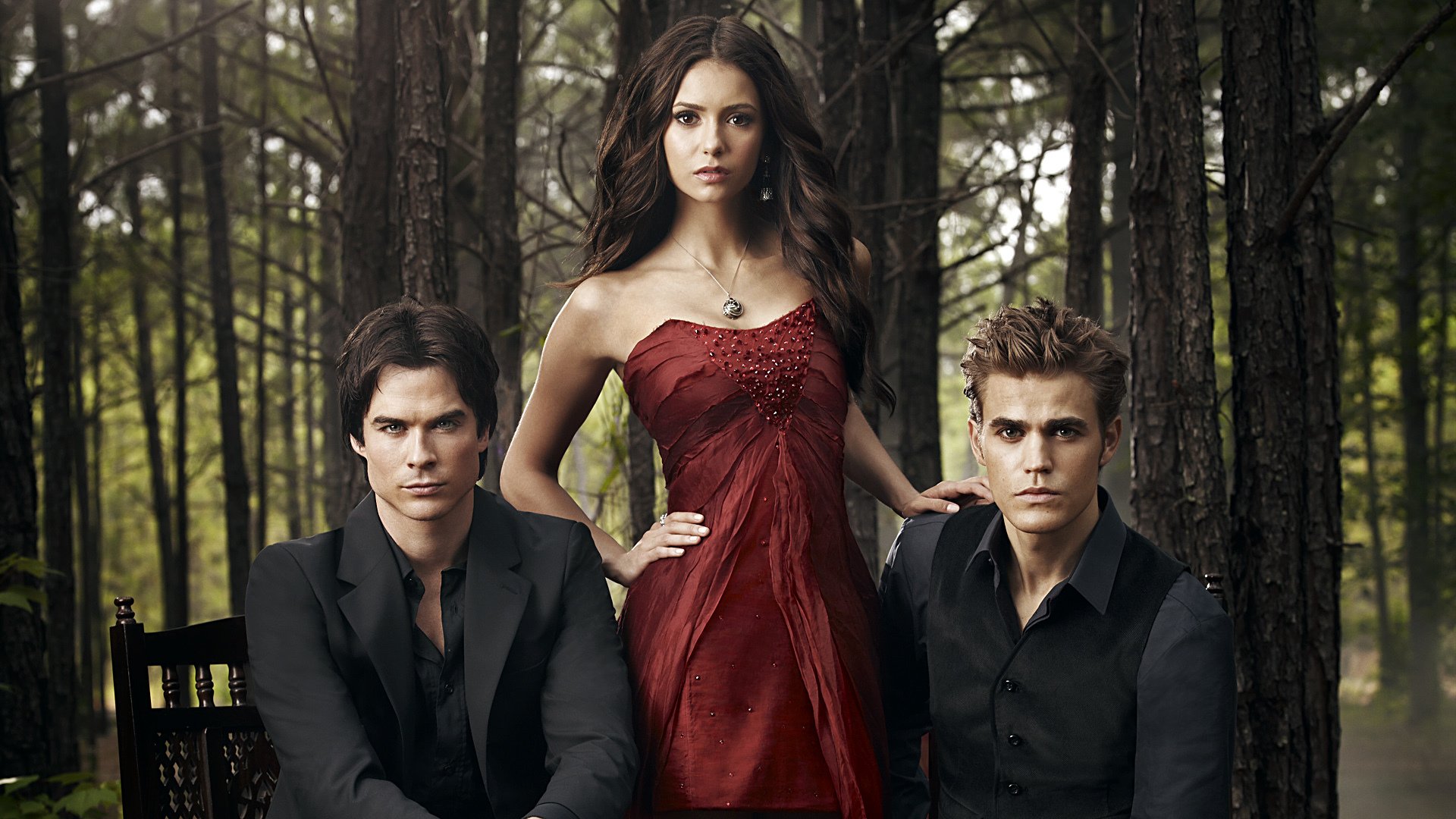 vampire diaries série télévisée nina dobrev elena gilbert paul wesley stefan salvatore ian somerholder ian somerholder