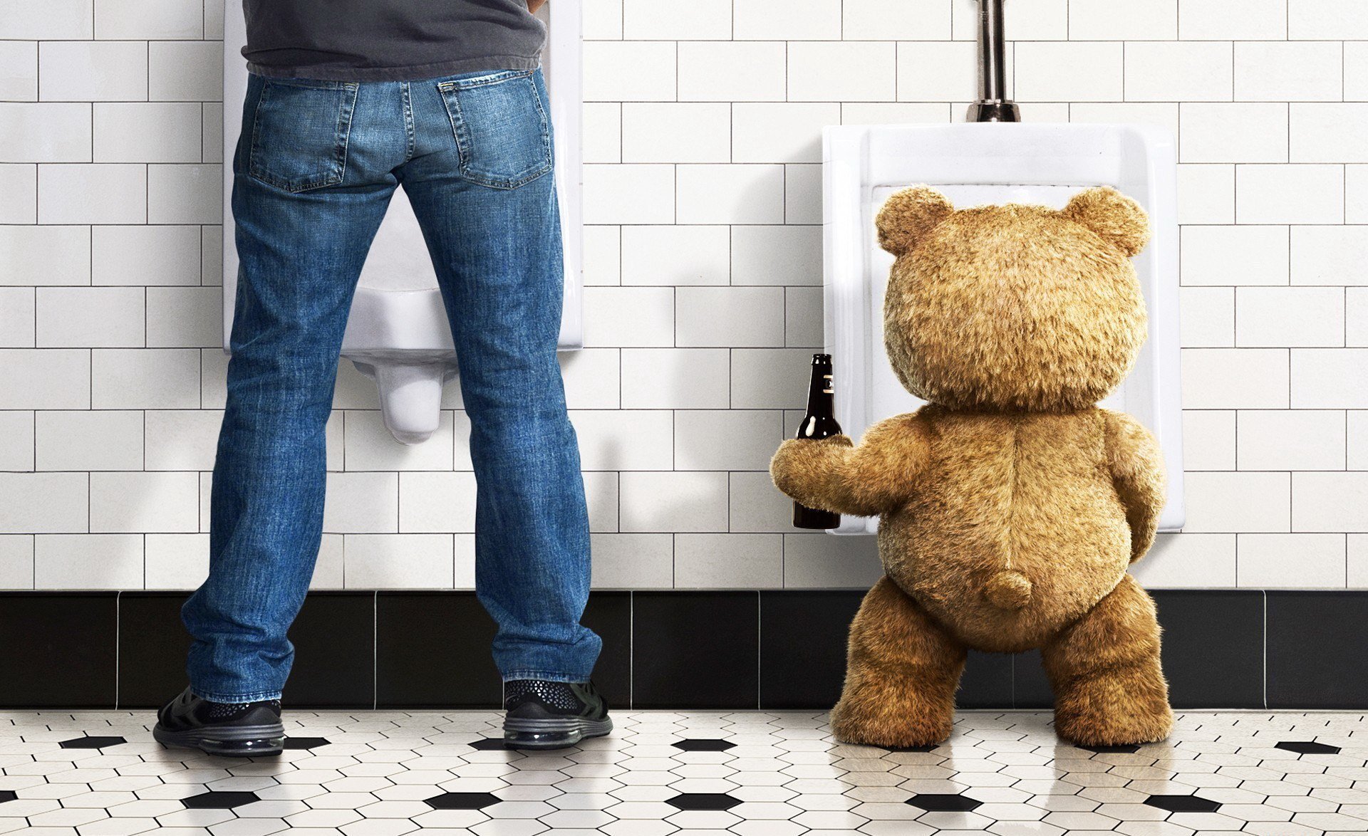 film ted uomo tuolet orso pavimento parete bottiglia birra giocattolo