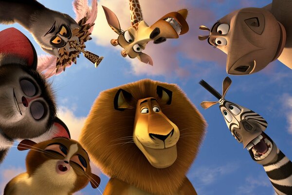 Madagascar 3 cartoon about animals