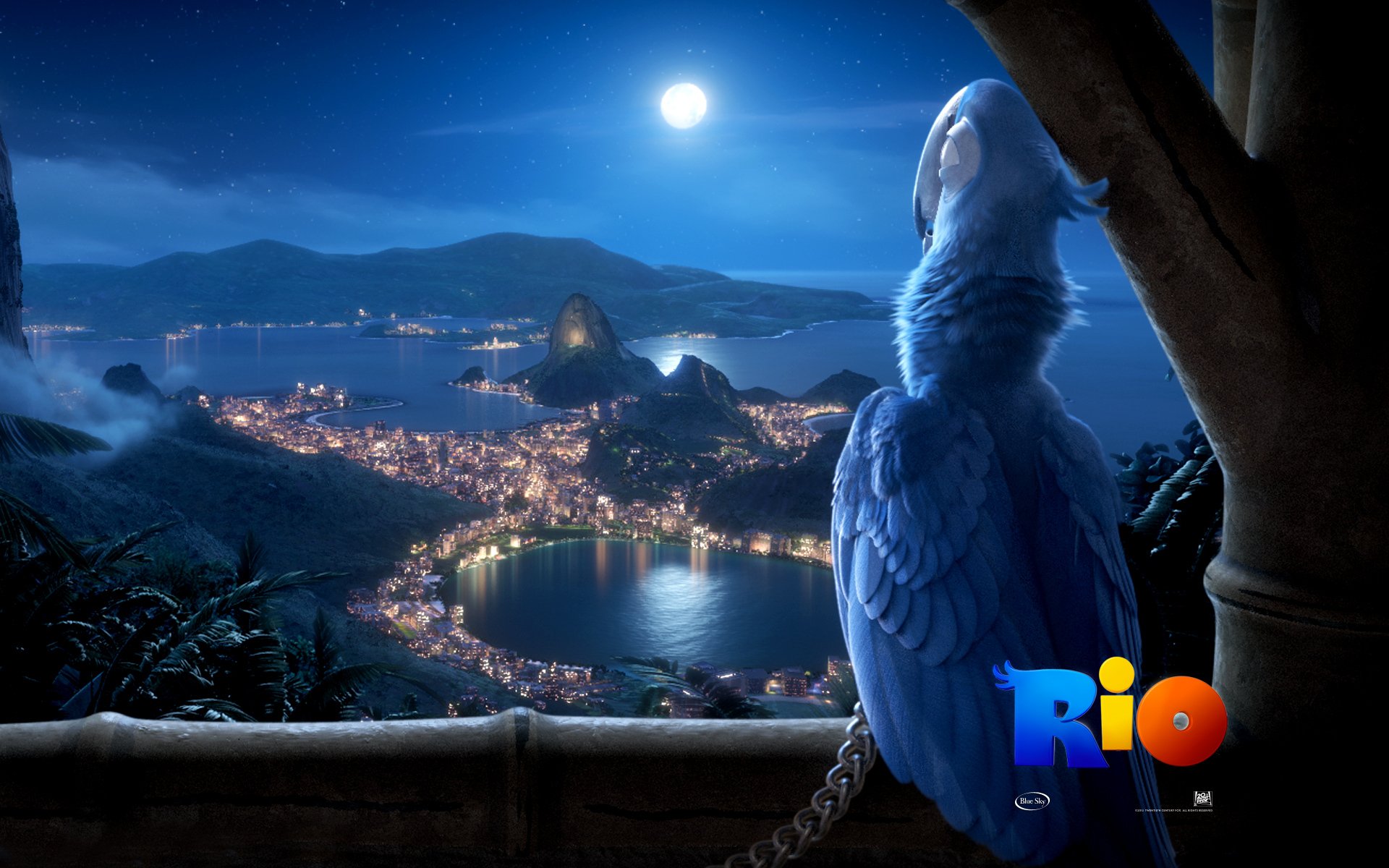 dessin animé rio oiseau vue de rio de janeiro