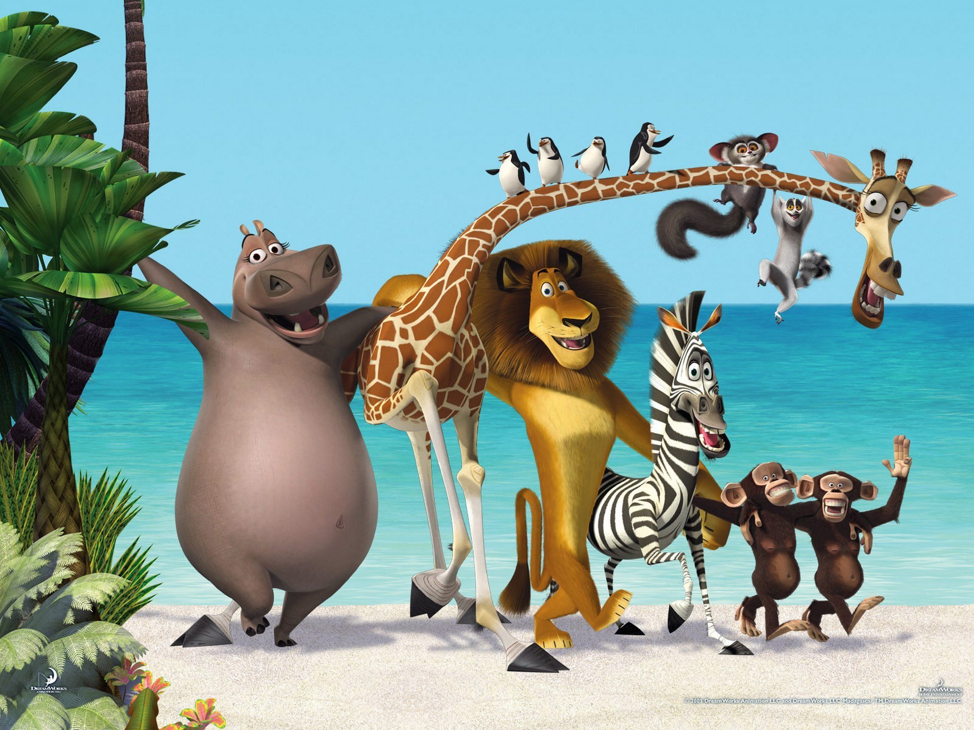 madagaskar 3 nowy cartoon madagaskar trzy zebra żyrafa hipopotam lew małpy pingwiny morze palmy