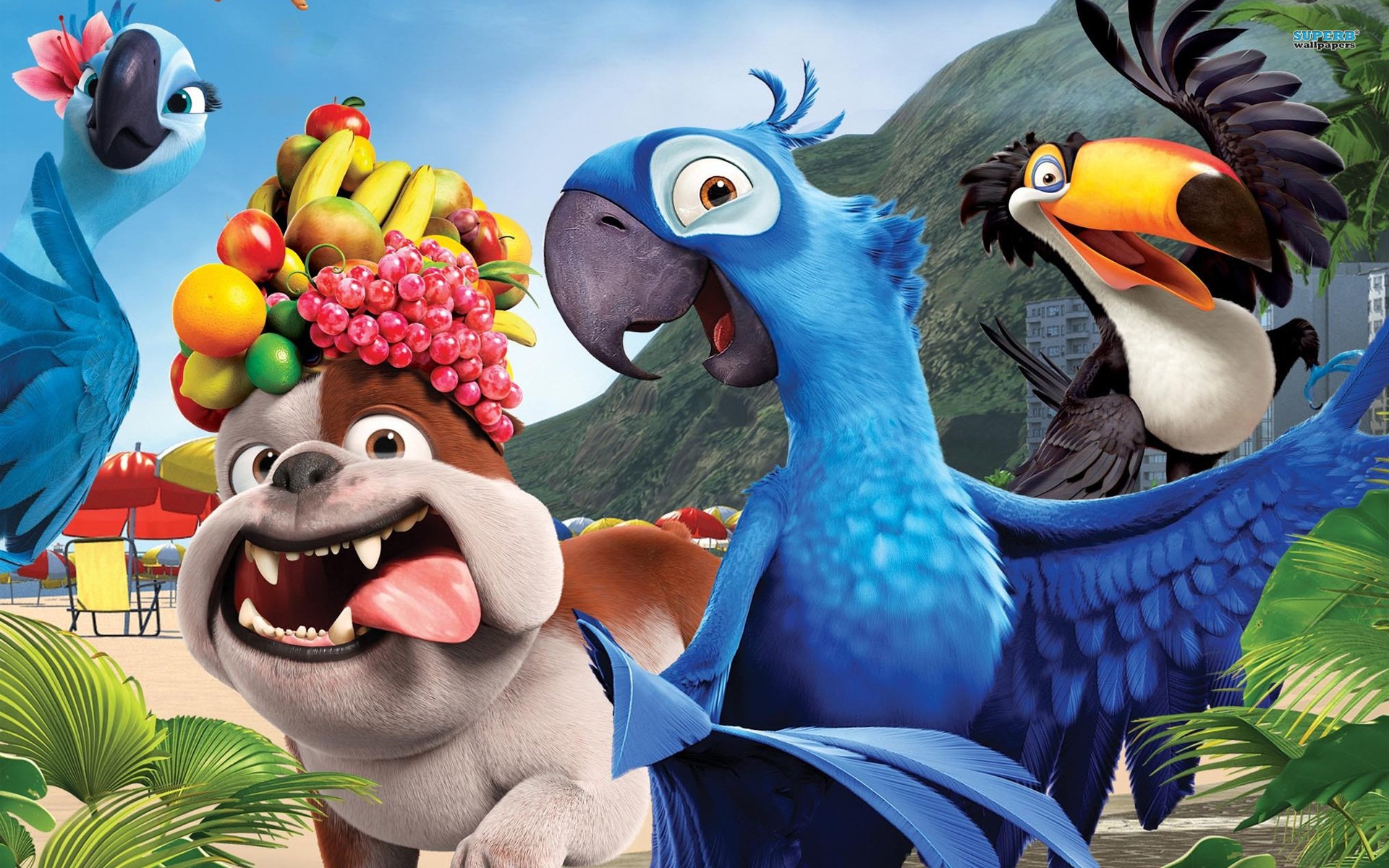 cartoon rio parrots dog fruit