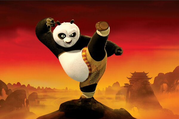 Kung Fu Panda im Rack