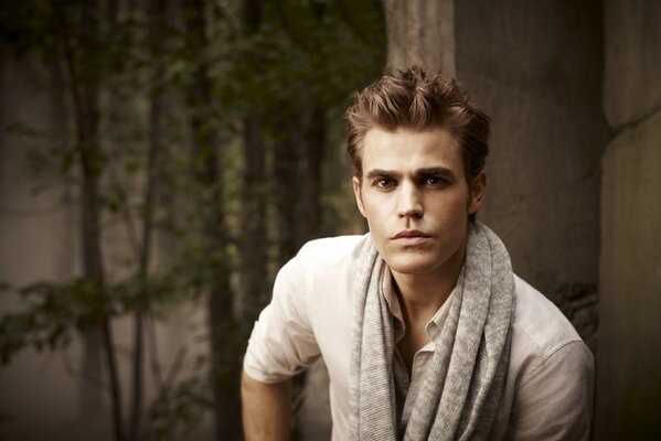 Paul Wesley de the Vampire Diaries