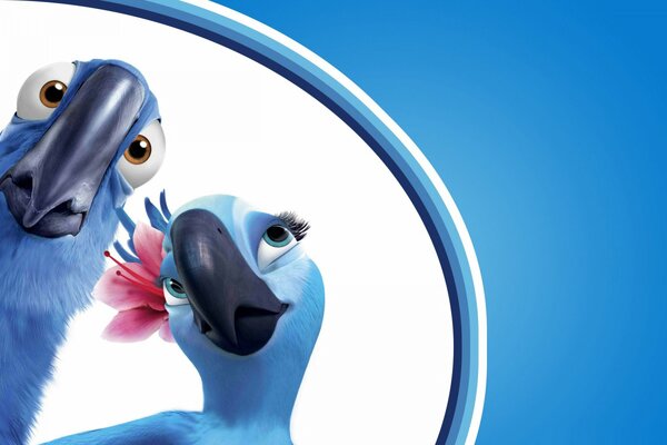 Para niebieskich papug z kreskówki Rio .