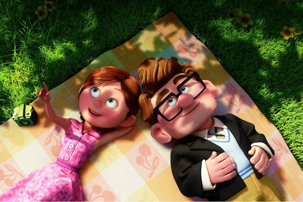 Una coppia del film Up Guarda il cielo