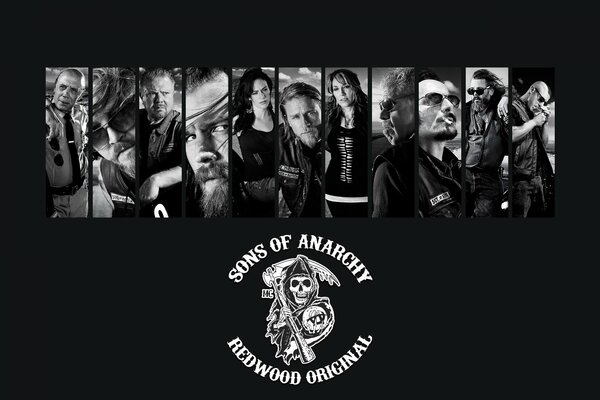 The cover of the TV series Sons of anarchy