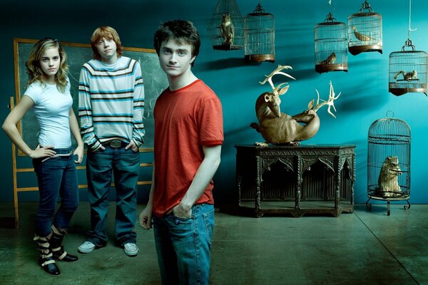 Harry Potter and his friends against the background of animal cages