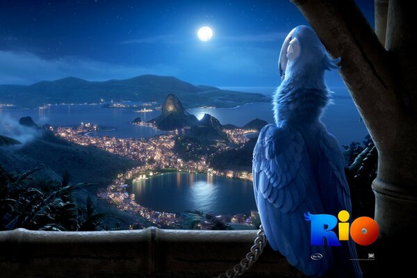 Le perroquet du dessin animé Rio regarde la nuit de Rio de Janeiro