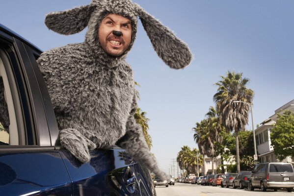 Le personnage principal de la série «Wilfred dans un costume de chien