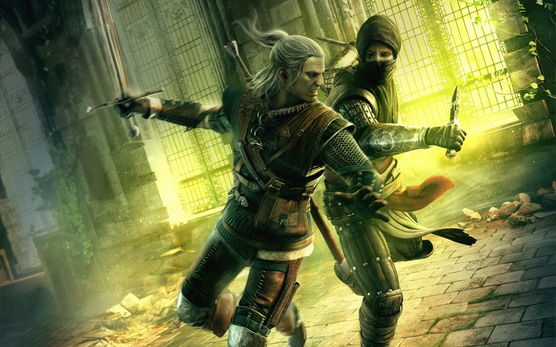 the witcher 2: les assassins des rois the witcher: les assassins des rois asasin