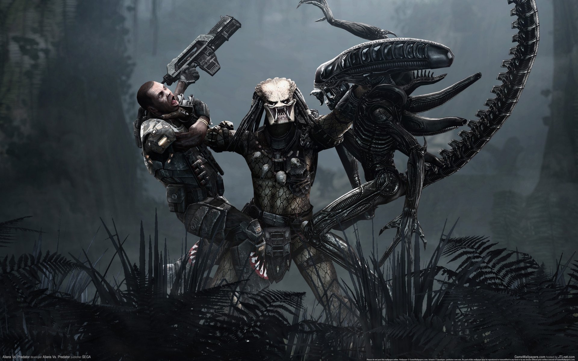 hintergrundbilder spiele alien raubtier mann