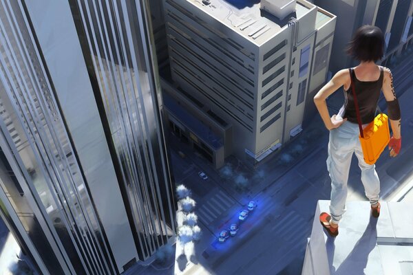 L image du jeu Mirrors Edge personnage principal, qui se tient près de la falaise