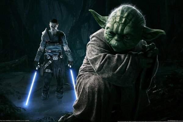 Star Wars Meister Yoda hat über die Bedeutung des Lebens nachgedacht