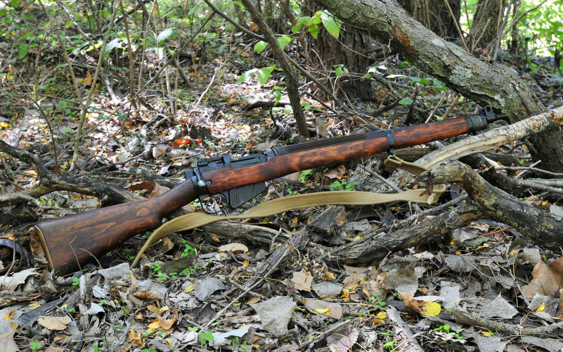 lee-enfield rifle weapon