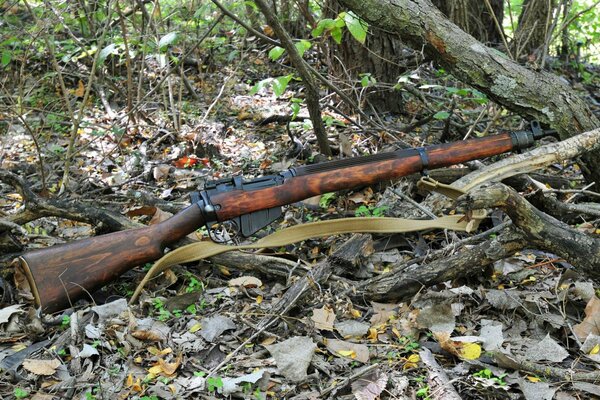 The rifle is in the forest deadwood, ready for hunting