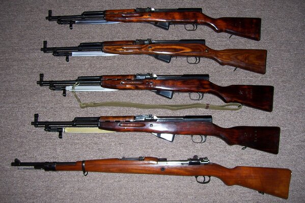 Rifles with wooden butts are laid out in a row