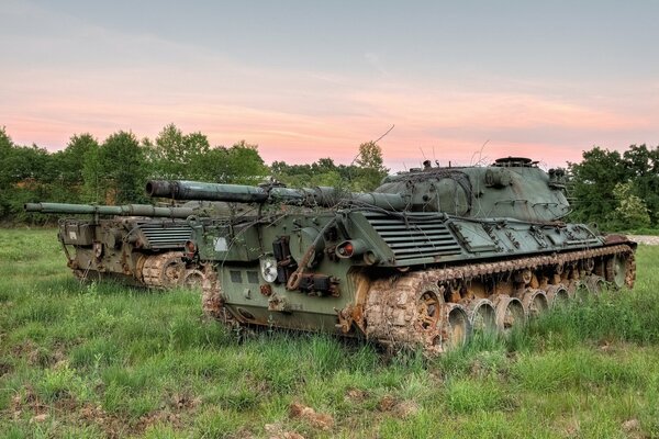 Zwei Panzer stehen im Feld