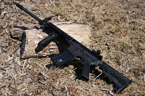 AR-15 rifle photo of weapons on the grass