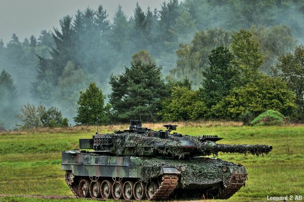 Tanque cubierto de musgo entre el bosque