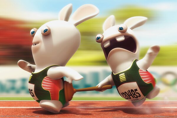 Funny hares at running competitions