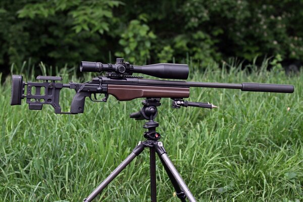 Schwarzes Scharfschützengewehr im Gras