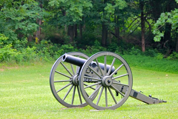 Canon dans une clairière dans la forêt