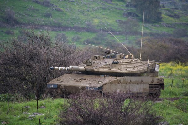 Weapon. Israel s Merkava Battle Tank