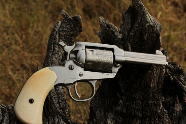 A small revolver on the ashes of a tree