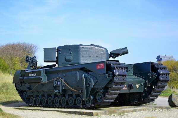 A powerful and domineering beast tank