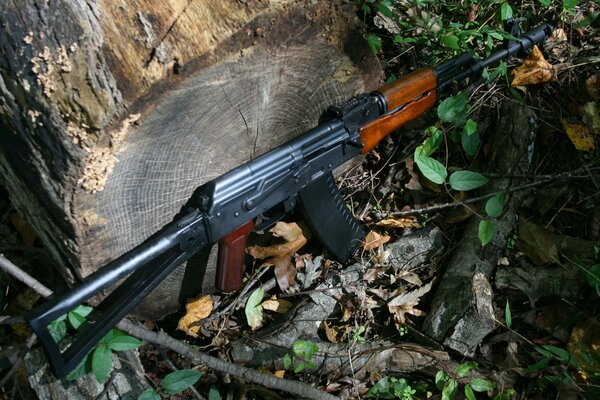 Kalashnikov primer plano