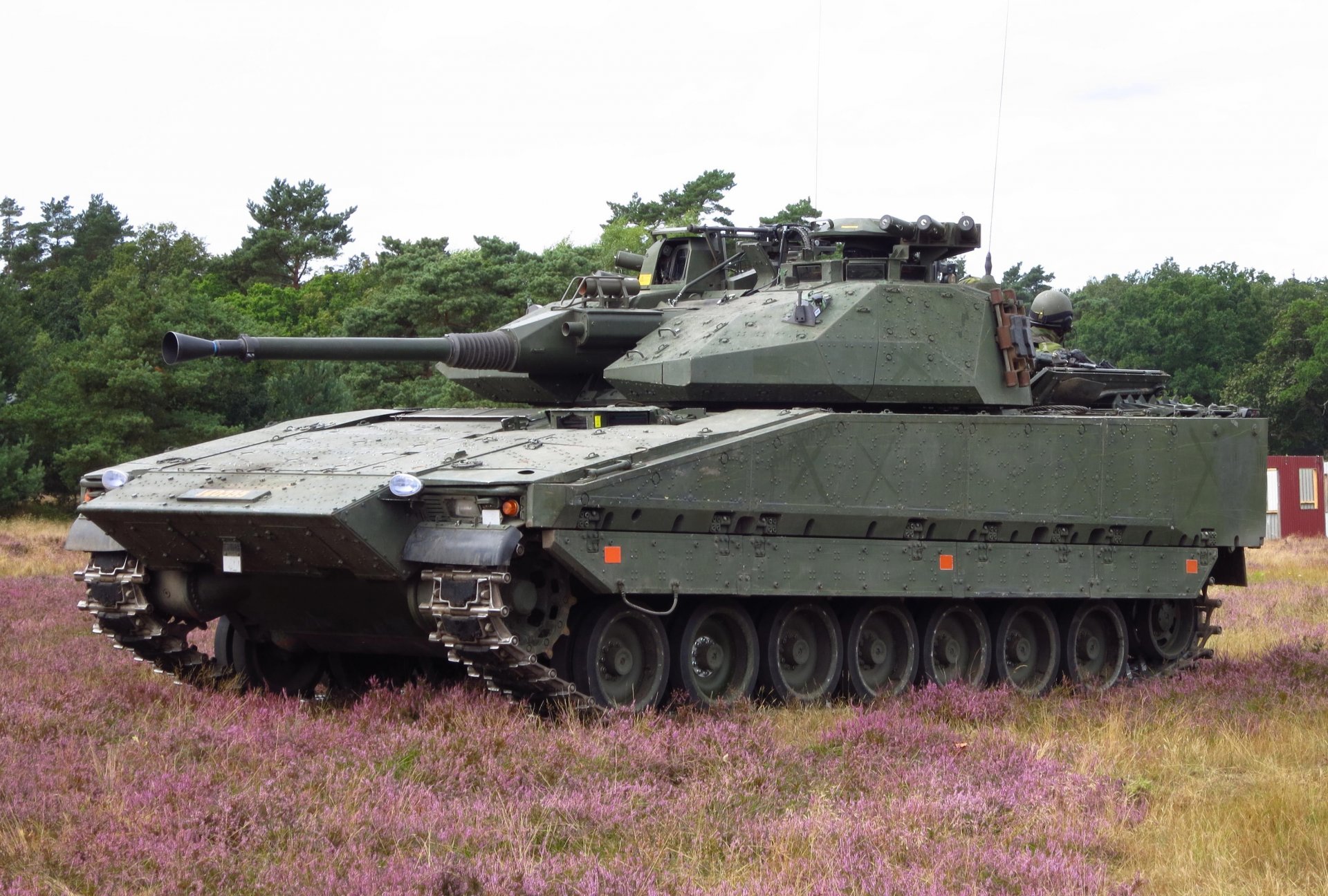 cv-9030 bojowy pojazd piechoty las trawa