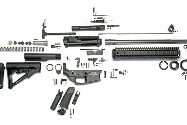 Fusil démonté