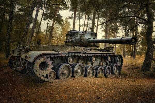 Tank on the background of the forest is going to shoot