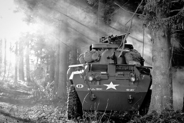 Véhicule blindé de la seconde guerre mondiale sur fond de forêt en noir et blanc